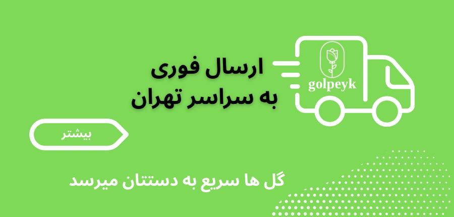ارسال فوری