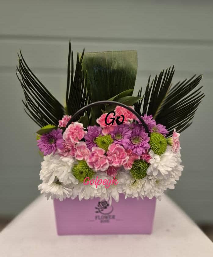 باکس مدل سانا